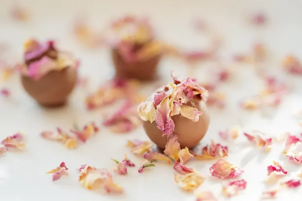 Crystal Casino App Android/iOS